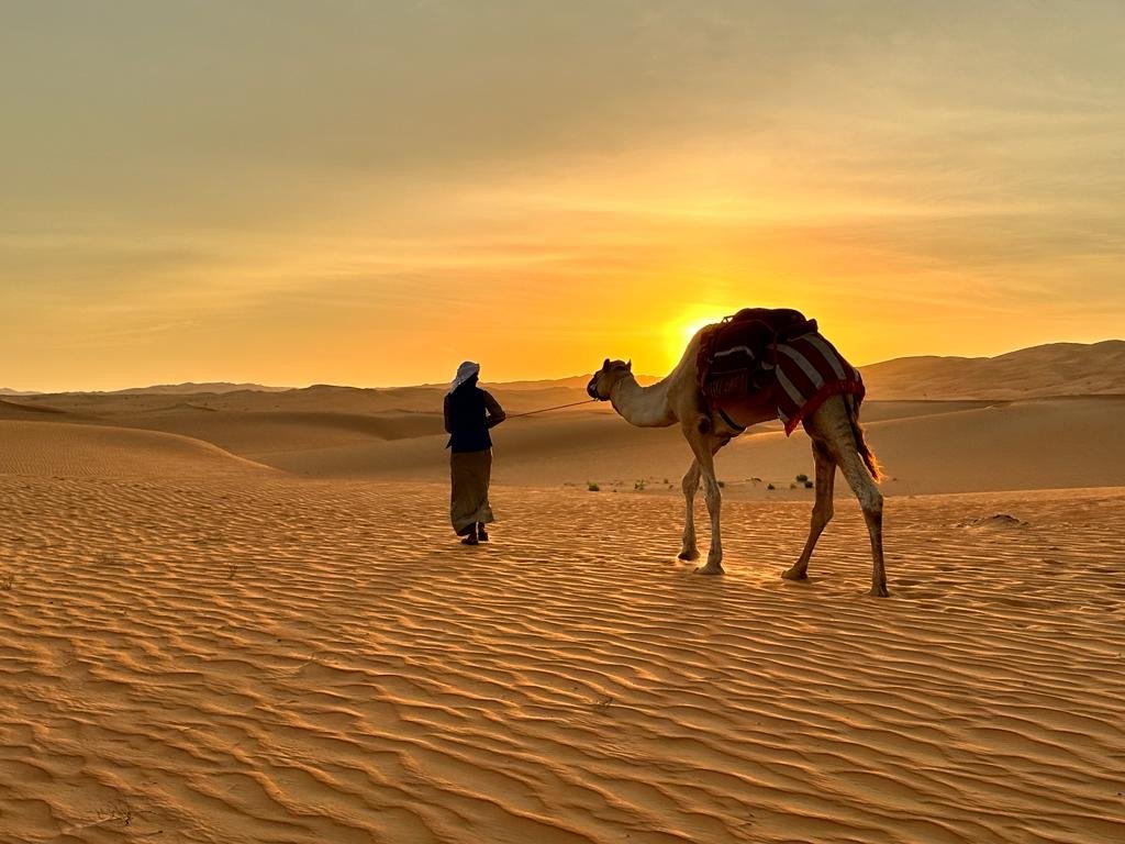 c9c1e440-c0b1-4761-b733-d7d748a2dbd4